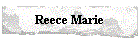 blank_but2.gif (2363 bytes)